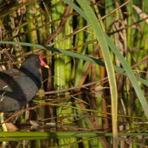 Untitled (48 Of 214).jpg